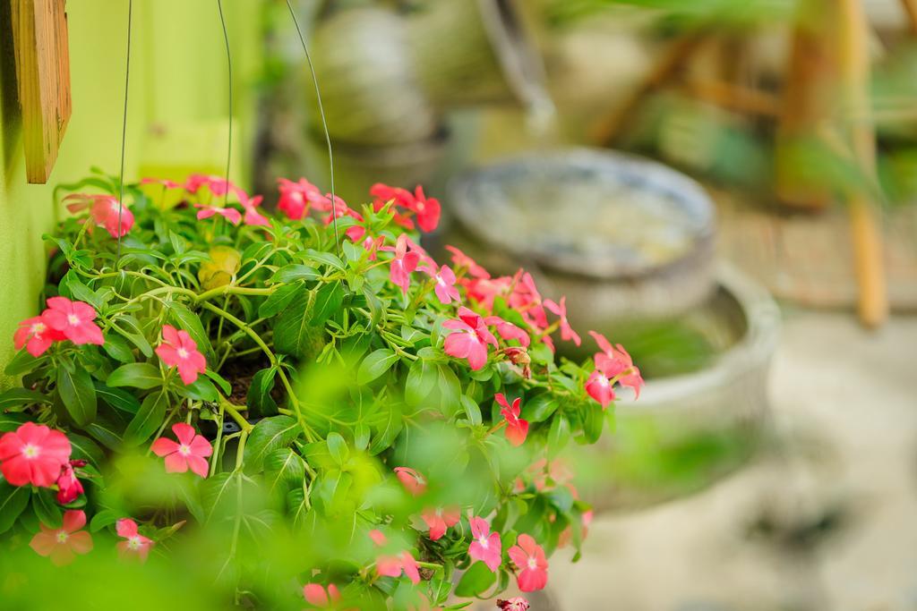 Malai Place Lampang Zewnętrze zdjęcie